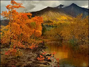 Góry, Jesień, Rzeczka, Drzewa
