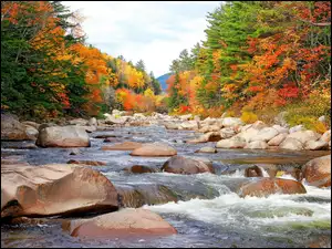 Rzeka, Jesień, Kamienie, Drzewa