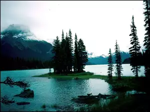 Alberta, Jezioro, Góry, Wysepka, Drzewa