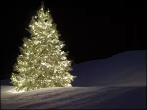 Światełka, Boże Narodzenie, Choinka