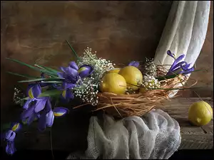 Kompozycja, Cytryny, Kwiaty, Irysy