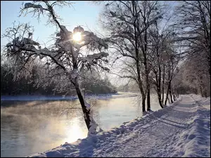 Rzeka, Zima, Drzewa, Śnieg