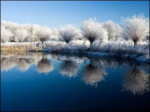 Niebo, Zima, Drzewa, Jezioro