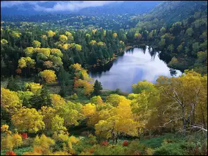 Jesień, Wisconsin, Lasy, Jezioro