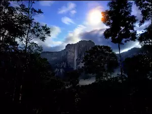 Wodospad, Wenezuela, Drzewa, Salto Angel