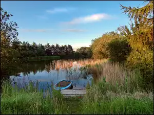 Łódka, Jezioro, Szuwary