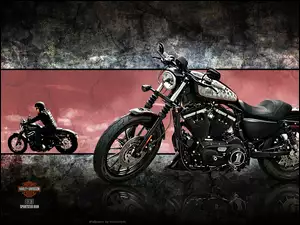 Motocyklista, Harley-Davidson XL883N Iron, Motocykl