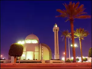 Palmy, Al Khobar, Budynek, Arabia, Wieża