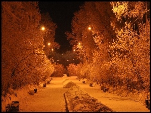 Park, Zima, Drzewa, Latarnie