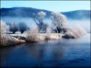 Zima, Rzeka, Mgła, Drzewa, Góry