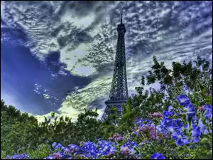 Wieża, Kwiaty, Eiffla, Chmury