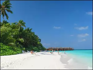 Niebo, Malediwy, Palmy, Fihalhohi, Plaża