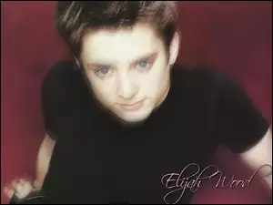 niebieskie oczy, Elijah Wood, czarna koszulka