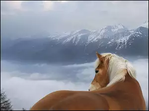 Chmury, Góry, Koń