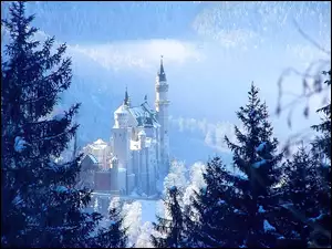 Zamek, Zima, Neuschwanstein, Drzewa