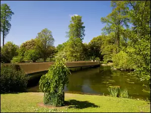 Park, Drzewa, Rzeka, Most