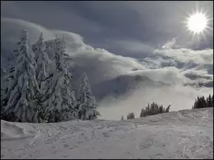 Zima, Promienie Słońca, Góry, Chmury, Świerki