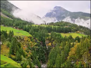 Góry, Skały, Lasy, Mgła