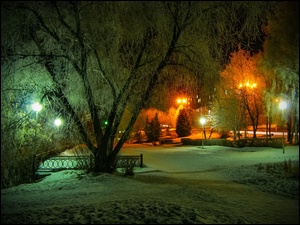 Zima, Park, Lampy, Drzewa, Noc