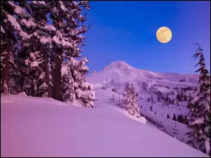 Ksieżyc, Góry, Pokryte, Drzewa, Śniegiem