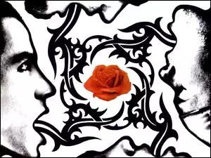 twarz, Red Hot Chili Peppers, róża
