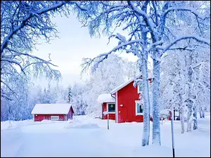 Śnieg, Ośnieżone, Czerwone, Drzewa, Domy, Zima