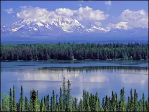Alaska, Narodowy, Willow, Park