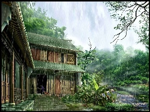 Deszcz, Dom, Drzewa