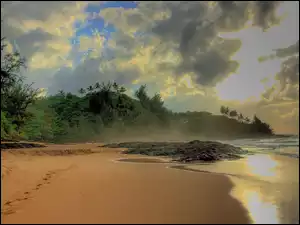 Chmury, Plaża, Drzewa