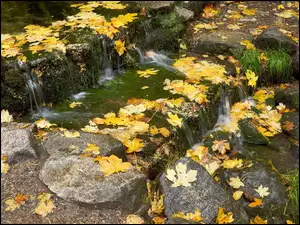 Jesień, Kamienie, Kaskada, Liście