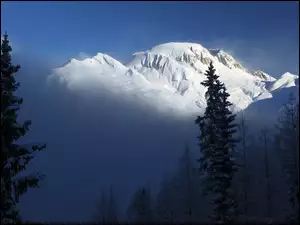 Góry, Zima, Drzewa, Mgła