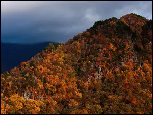 Góra, Jesień, Kolorowe, Drzewa