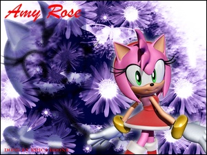 Amy Rose, Sonic