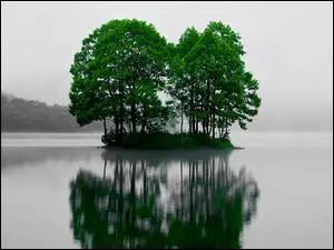Japonia, Jezioro, Drzewa, Wysepka, Sohara