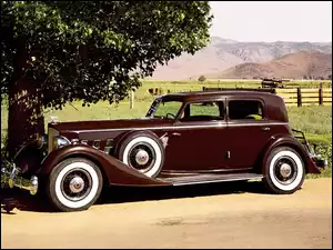 Sedan 160 HP, Samochód, Packard