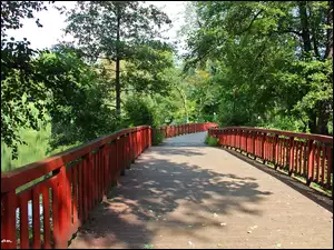 Drewniany, Drzewa, Most, Park