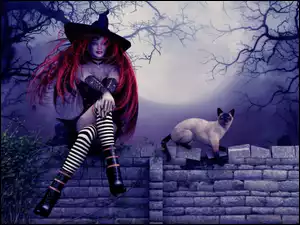 Halloween, Kot, Kobieta, Czarownica