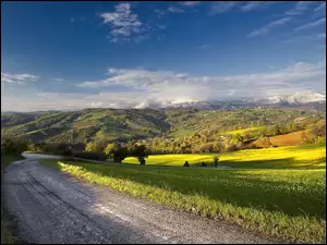 Droga, Góry, Łąki
