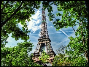 Paryż, Drzewa, Wieża, Eiffla