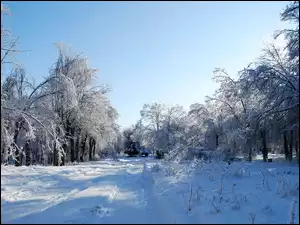 Zima, Park, Droga, Drzewa, Ławki