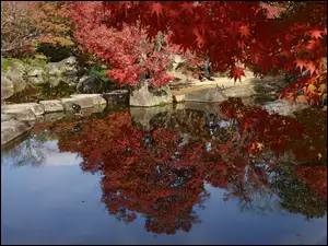 Kamienie, Jesień, Drzewa, Kolorowe, Staw