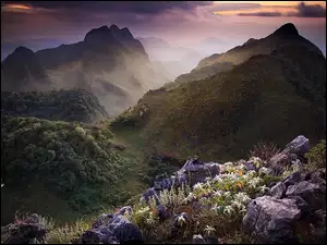 Kwiaty, Góry, Chmury