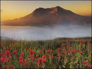 Kwiatki, Góra, Mgła