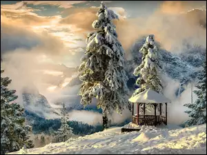 Altanka, Zima, Góry, Drzewa