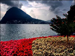Kwiaty, Góra, Jezioro
