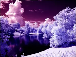 Zima, Chmury, Jezioro, Drzewa, Śnieg