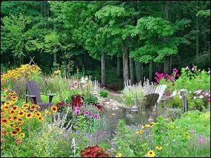 Ogród, Las, Kwiaty, Wypoczynek