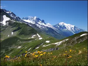 Alpy, Łąka, Góry