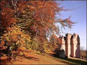 Szkocja, Jesień, Zamek, Drzewo, Craigievar