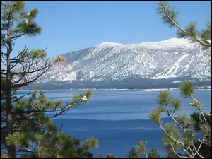 Kalifornia, Jezioro, Góry, Drzewo, Tahoe
